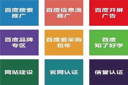 某电商平台的SEM推广实战经验